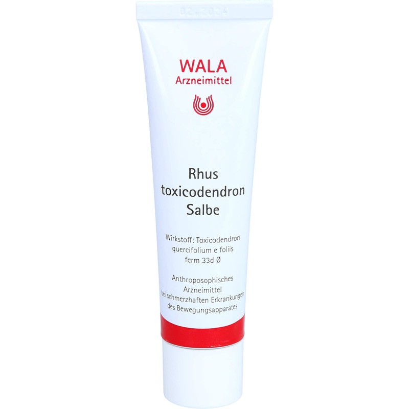 RHUS Toxicodendron ointment 30 g