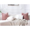 JUSPURBET Jam Velvet Throw Pillow Covers 18x18 inch Set of
