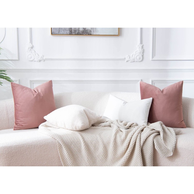 JUSPURBET Jam Velvet Throw Pillow Covers 18x18 inch Set of