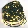 QBIS Battery Operated Christmas Lights, 100 Warm White Battery Operated