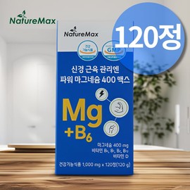파워 마그네슘 400mg 신경 근육 관리엔 미그네슘 마그네슘제 마그네시움 Power Magnesium 400mg for Nerve and Muscle Care, Magnesium Supplement