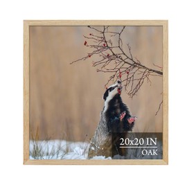 ARTWIND 20x20 Oak Wood Poster Frame, Natural Solid Wood Photo Picture Frame for Wall Mounting, Hanging Hardware Included