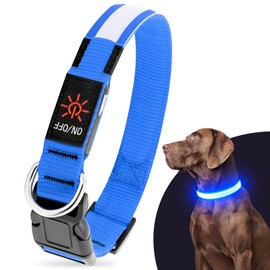 Illumifun LED Dog Collar, Fashion Rechargeable Dog Collar Glow in The Dark, Water-Resistant Safety Pet Collar for Your Dogs Walking at Night (Blue, Medium)