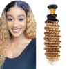 2CA 1B27 Deep Human Hair Bundle 12 Inch