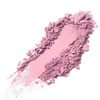 Napoleon Perdis Color Disc 2.5g, Queen of The Night