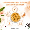 AAVALABS Turmeric and Black Pepper Capsules with Ginger Root Extract