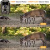 Folgtek WLAN Wildlife Camera 24MP 1296P with Wireless Night Vision