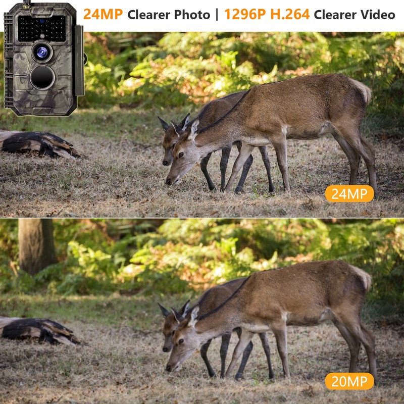 Folgtek WLAN Wildlife Camera 24MP 1296P with Wireless Night Vision