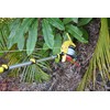 Gotcha Sprayer Pro USA-Made Combination Kit - Includes a Red