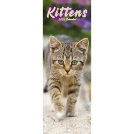 Kittens Slim 2026 Calendar | Slimline Wall Calendar | Cat Gift | Plastic Free Packaging | by Avonside Publishing