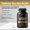 Akkermansia Muciniphila Probiotic Supplement 3 Billion CFU 240 Tablets Probiotics