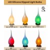 Royal Designs, Inc. Transparent Silicone Dipped Filament LED Bulb, 1-Watt