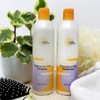 EARTH SCIENCE - Extra Gentle Fragrance Free Conditioner for Sensitive