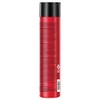 SEXYHAIR Big Volumizing Shampoo, 10.1 fl. oz.