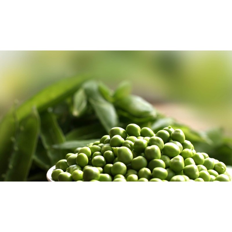 RAISE ME UP: Seeds Sugar Snap Peas Non GMO Heirloom