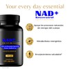 AKAM NAD+ 120 Caps 500mg con Resveratrol y Quercetina |