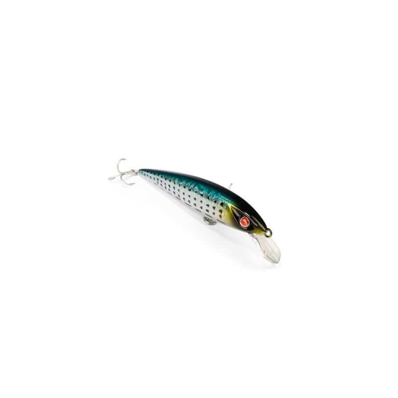 EJA 115 – Esca Artificiale per la Pesca a Spinning,