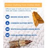 【𝐇𝐢𝐠𝐡𝐥𝐲 𝐄𝐟𝐟𝐞𝐜𝐭𝐢𝐯𝐞】 Clothes Moth Traps with Extra Strength Pheromone Attractant