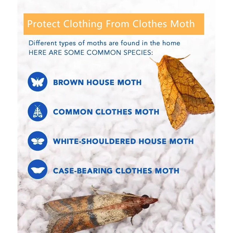 【𝐇𝐢𝐠𝐡𝐥𝐲 𝐄𝐟𝐟𝐞𝐜𝐭𝐢𝐯𝐞】 Clothes Moth Traps with Extra Strength Pheromone Attractant