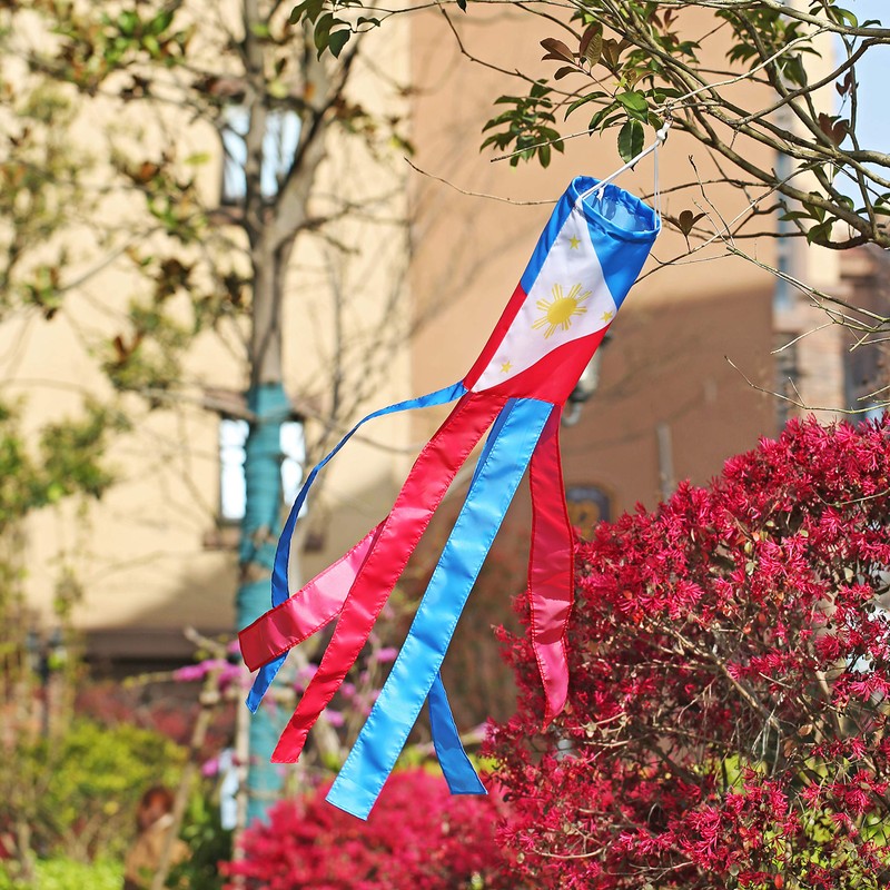 Philippines Filipino Flag WindSock 2 Pack Stripes Wind Socks For