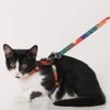 pidan Cat Harness and Leash Set, Escape Proof - Adjustable
