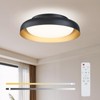 Ken & Ricky Flush Mount Ceiling Light with Remote,Black and