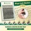 DIY Eyelash Extension Kit KEYYOU LASH 144 Pieces 8-16 Mix