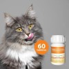 Suplemento Vitamina Proteina Omega Para Gatos Piel Y Pelo 60