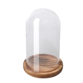 RayinblueTransparent Glass Plant Display Cloche Bell Jar Dome With Bamboo Wooden Base Tray Multi Sizes (D11*H20CM)