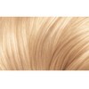 L'Oréal Paris Excellence Creme, 10 Very Light Blonde (100 Percent