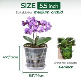 T4U Orchid Pot, 6 Pack 5.5 Inch Clear Orchid Pots with Holes and Saucers for Repotting, Plastic Flower Plant Pot with Drainage for Indoor Outdoor Plants, Slotted Orchids Planter for Root Health