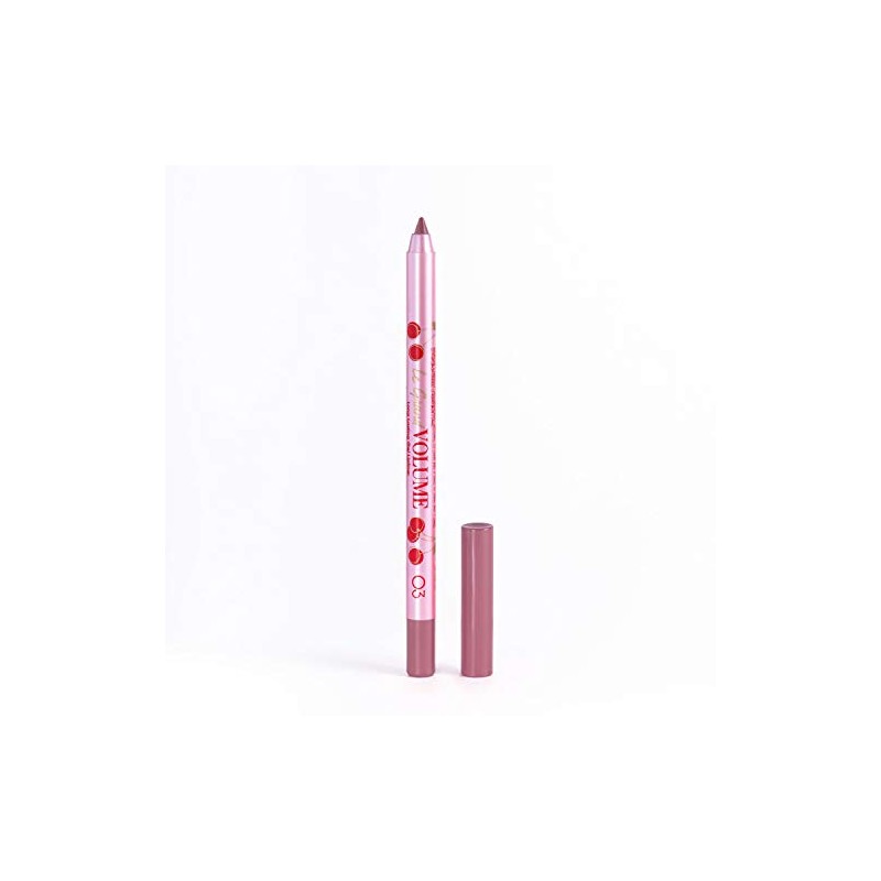 VIVIENNE SABO Long Lasting Gel Lip Liner Le Grand Volume,
