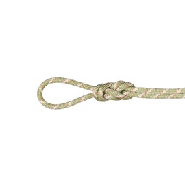 Mammut 8.0 Alpine Classic Climbing Rope, Boa-White, 50 m