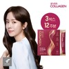 에버콜라겐 스킨앤헤어 3박스(12주분) 헤어콜라겐 모발콜라겐 EverCollagen Skin and Hair 3 Boxes (12 Weeks Supply) Hair Collagen Hair Collagen