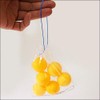Goldfish Scooping Take-away Bags (100 Pieces) Single String/Goldfish Scooping Supplies,