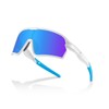 BangLong Kids Polarized Baseball Sunglasses, UV400 Sports Glasses Ages 8-16