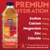 Jumex Hydrolit Quick Rehydration and Recovery Beverage, Apple Flavor, 21.1