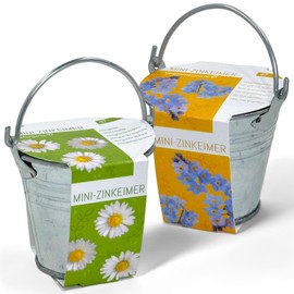 MIJOMA Mini Zinc Bucket Set with Flower Seeds - 2 Pieces, Includes Coconut Source Pad, Perfect as an Addition to Money Gifts or Vouchers, W: 6.5 cm, H: 5.5 cm, D: 6.5 cm (Daisies and Forget-Me-Not)