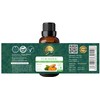 Aryan Herbals Turmeric (Haldi) Oil, Essential Oil for Aromatherapy &