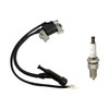 Ignition Coil & Spark Plug for Predator 5500W/6500W, 7000W/8750W, 7250W/9000W