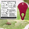 The Original Tick Key -Tick Removal Device - Portable, Safe