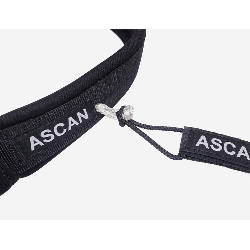 Ascan Wing & Board Belt with Hooks (L - XXL