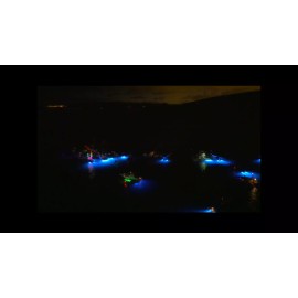 BamF Old School RGB COLOR CHANGING LED BOAT DRAIN PLUG LIGHT 1200 LUMENS 1/2" NPT UNDERWATER