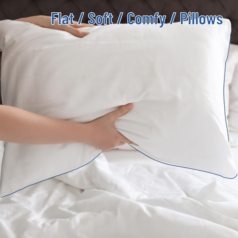 SILUI Flat Soft Thin Pillows Queen Size Set of 2