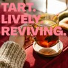 Stash Tea Pomegranate Raspberry & Matcha Green Tea - 108