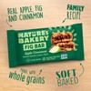 Nature’s Bakery Whole Wheat Fig Bars, Apple Cinnamon, Real Fruit,