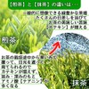 有機 国産 抹茶 パウダー100ｇ 粉末 オーガニック 国産有機抹茶100％品 お稽古用 製菓用 加工用
