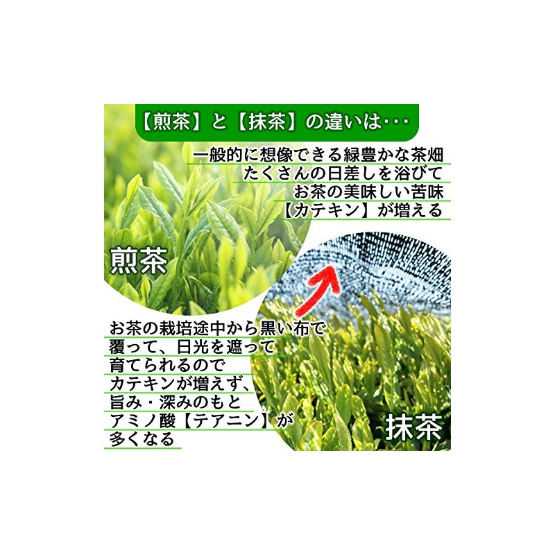 有機 国産 抹茶 パウダー100ｇ 粉末 オーガニック 国産有機抹茶100％品 お稽古用 製菓用 加工用