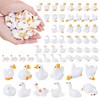 GGSTDDUP 48Pcs Mini Resin Gooses Figurines 12 Styles Small Resin