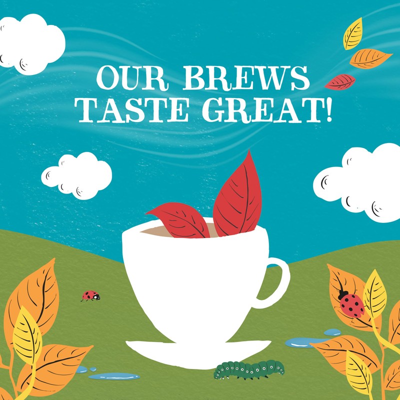 Clipper Organic English Breakfast | Box of 50 Teabags |